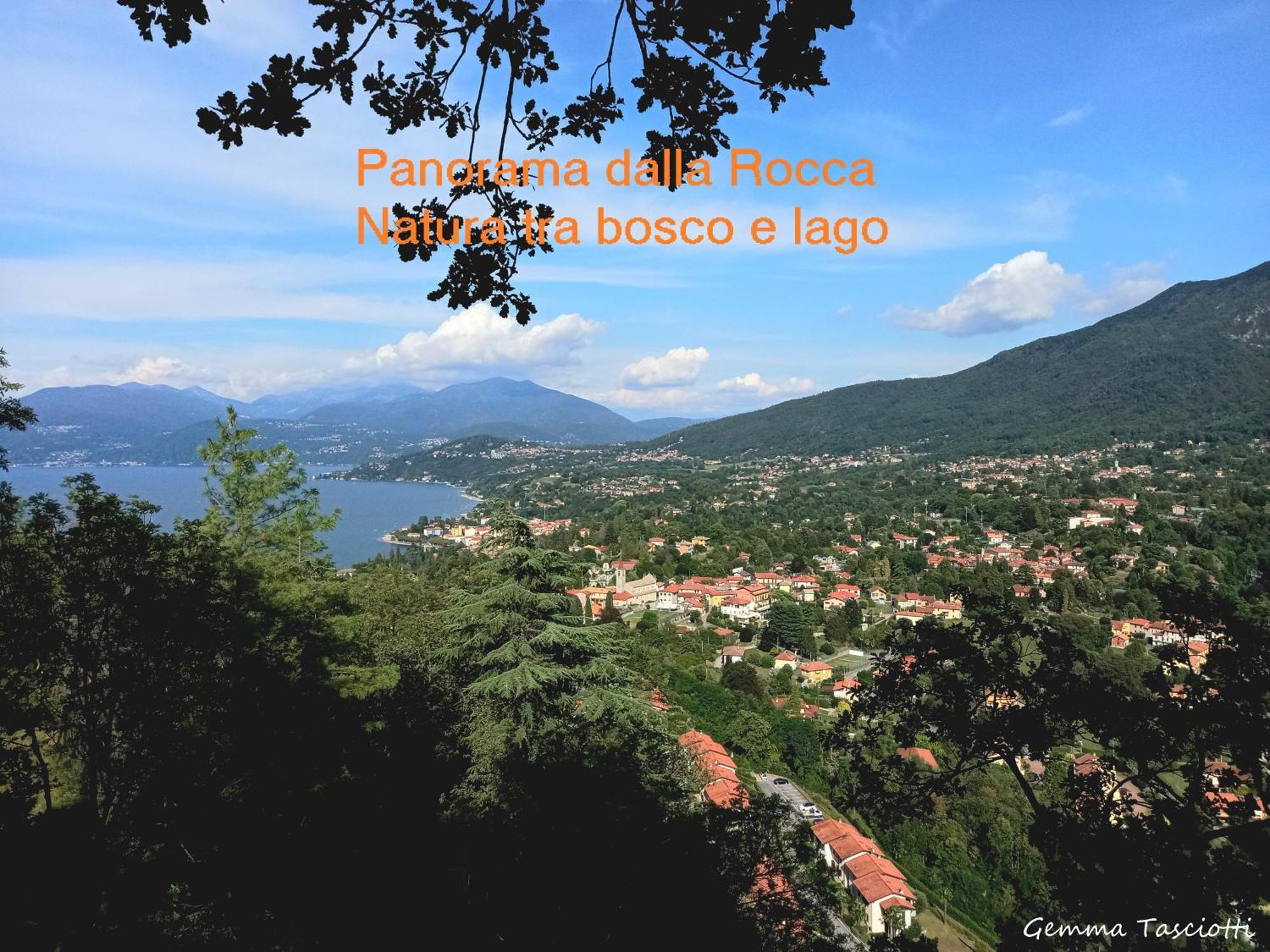 Natura Tra Bosco E Lago Castelveccana Luaran gambar
